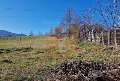 Teren intravilan de 4.000 mp în Bistrița – Alexandru cel Bun - 5