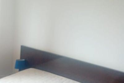 Apartament cu 2 camere decomandat, mobilat în Pantelimon - 8