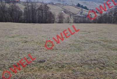 De vânzare teren extravilan și  intravilan  în loc. Barcani, pe str Almas! - 8