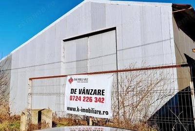 Sinesti -hala productie depozitare suprafata 1350 mp - 4