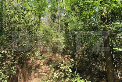 Teren 3000 mp - 1200 mp intravilan, zona Cuparu - 3