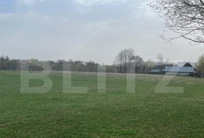 Teren de 5933 mp, în Central - 7