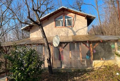 Vând casă Dp+P+M ,construcția C1 și terenul intravilan de 1265 mp - 10