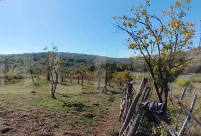 Teren de 7382 mp, în Central - 3