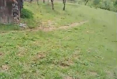 Teren în Sadu - 2