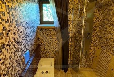 Casă individuală cu 10 camere cu Canalizare în Andrei Mureșanu - 44