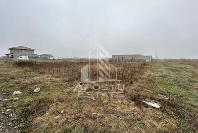 Teren 530 mp, Sacalaz, zona de case noi, zona PUZ Cosma. - 2