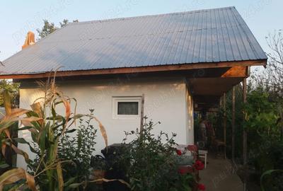 Vand urgent casa de vacanta o camera cu pod in Ghizdaru - 10