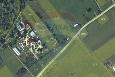 Teren agricol extravilan de 1650 mp, în Șelimbăr - 1