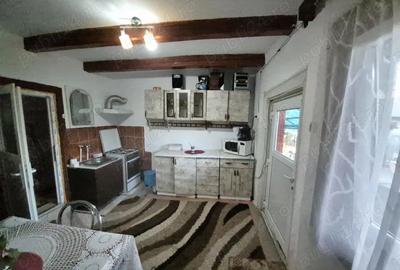 Vand casa la Dumbrava unirea Alba - 7