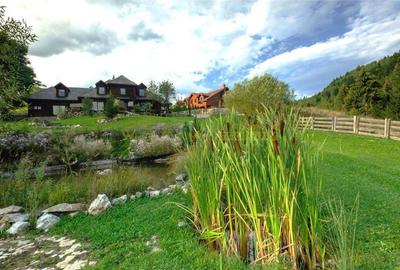 Raritate| Teren intravilan de vis de 6 ha de vanzare in Pestera Brasov - 20