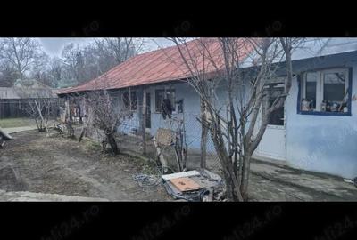 Casă cu 3 camere cu Teren 480 Mp în Central - 3