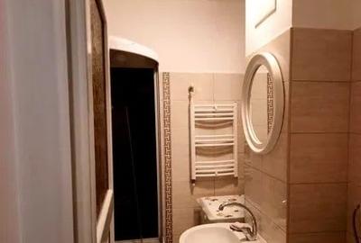 Apartament cu 1 camera, PET FRIENDLY, zona Alexandru Cel Bun - 8