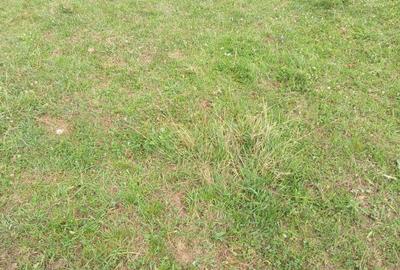 Spațiu comercial, în Central - 4