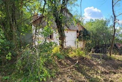 Casa de vanzare in Bihor - comuna Abram - 2