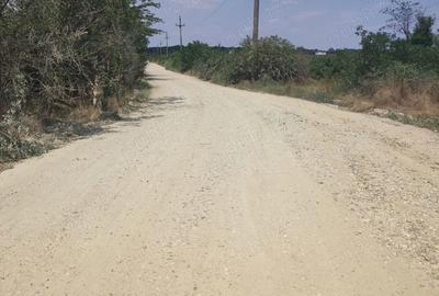 Teren de 900 mp, în Cornetu