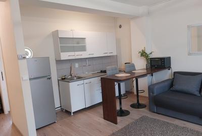 Apartament cu 2 camere semidecomandat în Moara de Vânt - 3