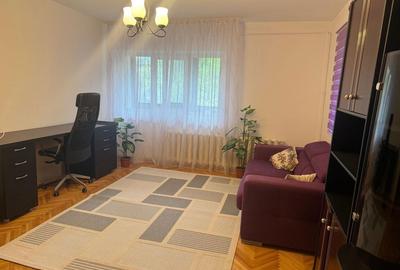 Apartament cu 2 camere decomandat în Arcu - 4