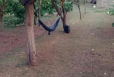 Casă cu 4 camere cu Teren 2200 Mp în Lugoj - 2