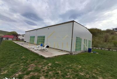 Casă cu Teren 1041 Mp în Baciu - 13