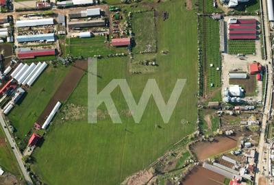 Teren agricol intravilan de 95000 mp, în Băleni-Români - 7