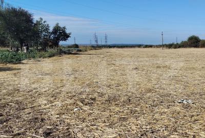 Teren Isalnita intravilan, 2500 mp, toate utilitatile - 2