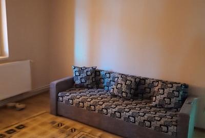 Apartament cu 2 camere semidecomandat în Paltin - 3