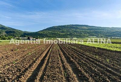 Teren intravilan 4094mp in Satul Soimus din Comuna Soimus, Jud. Hunedoara. - 5