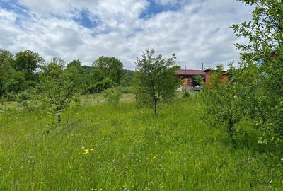 Teren de 4200 mp, în Ocina de Sus - 4