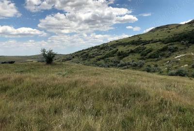 Vanzare 50 Ha pasune, judetul Prahova - 9