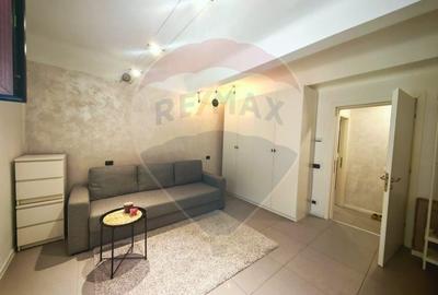 Garsoniera renovata complet - Locotenent Dumitru Lemnea 3 - 3