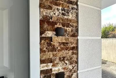 Vilă 5 camere / Nicolae Grigorescu / Trapezului / curte și parcare - 3