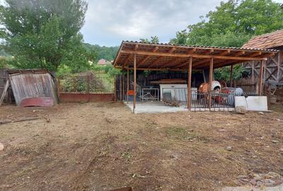 Casă cu 4 camere în Bucșani - 6