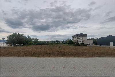 Moldova Noua, Teren Drept Intravilan 1628 Mp., pe malul Duna - 8