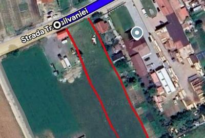 Spațiu comercial, în Mihai Viteazu - 1