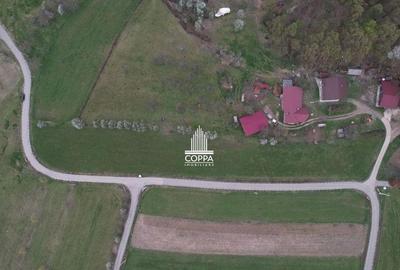 Teren INTRAVILAN PARCELABIL Curtuiu?u Mic 20 km Baia Mar... - 5