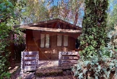 Ansamblu de 7 Căsuțe de Vacanță, Ocna Șugatag - 1