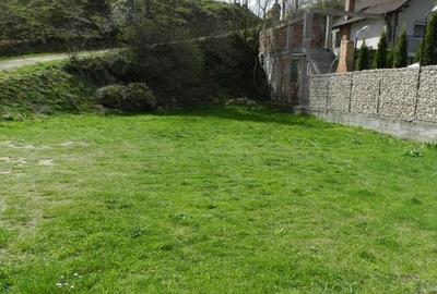 Inchiriez teren in Bran la DN73 langa PANNER, investitie - 5