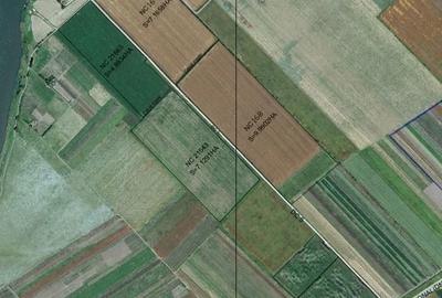 Teren de 290000 mp, în Movilița