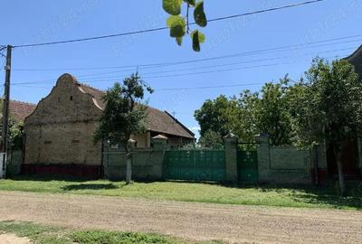 Casă cu 3 camere cu Teren 2275 Mp în Uliuc - 9