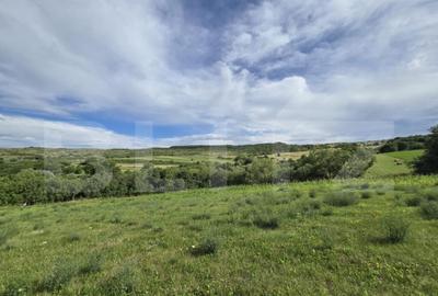 Teren intravilan, construibil in MACICASU , 3 KM de la Chint - 3