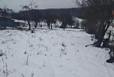 Teren de 2635 mp, în Dăești - 3