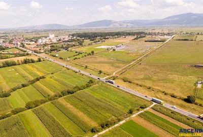 Teren extravilan Lunca Calnicului langa E574 - 11