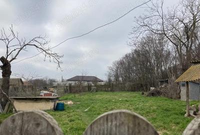 Casă cu Teren 754 Mp în Gâldău - 1