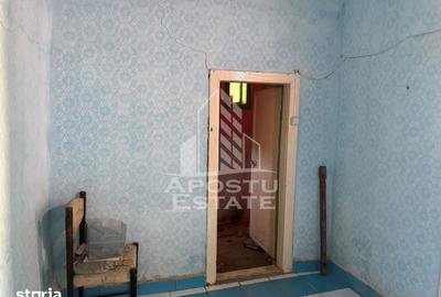 Casă cu 4 camere cu Teren 1522 Mp în Traian Vuia - 13