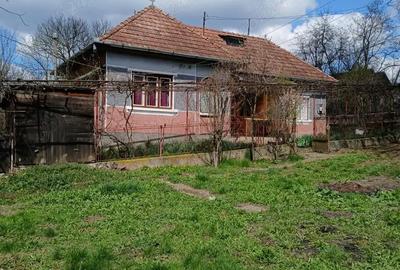 Casă cu 3 camere în Mădăraș - 4