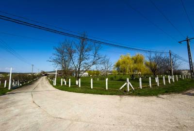 Spațiu comercial, în Central - 6