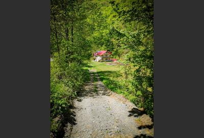 Casa de vacanta perfecta pe malul Cernei Casa de vacanta perfecta pe malul Cernei - 13