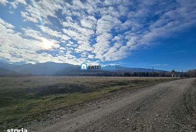 Teren de 22790 mp, în Recea - 13