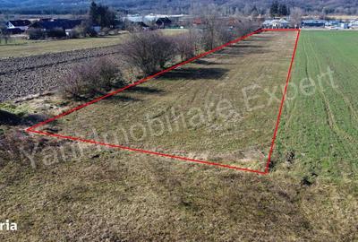 Spațiu comercial, în Băiculești - 6